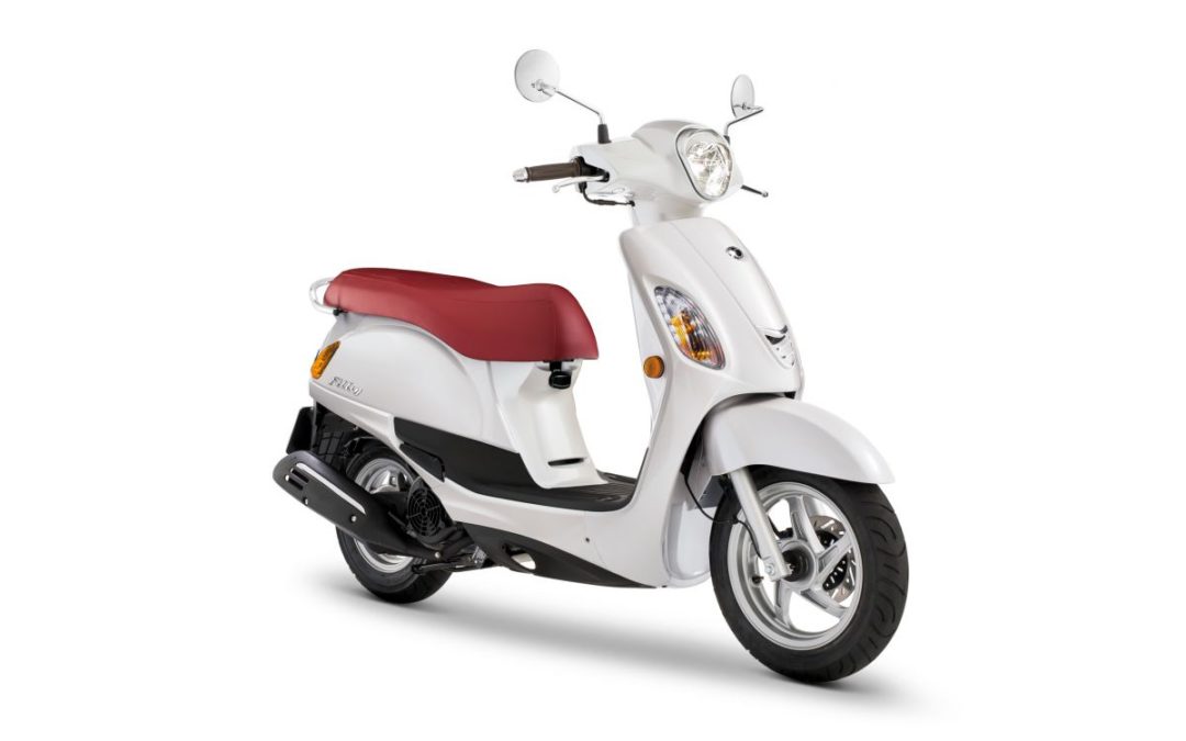 Filly 125