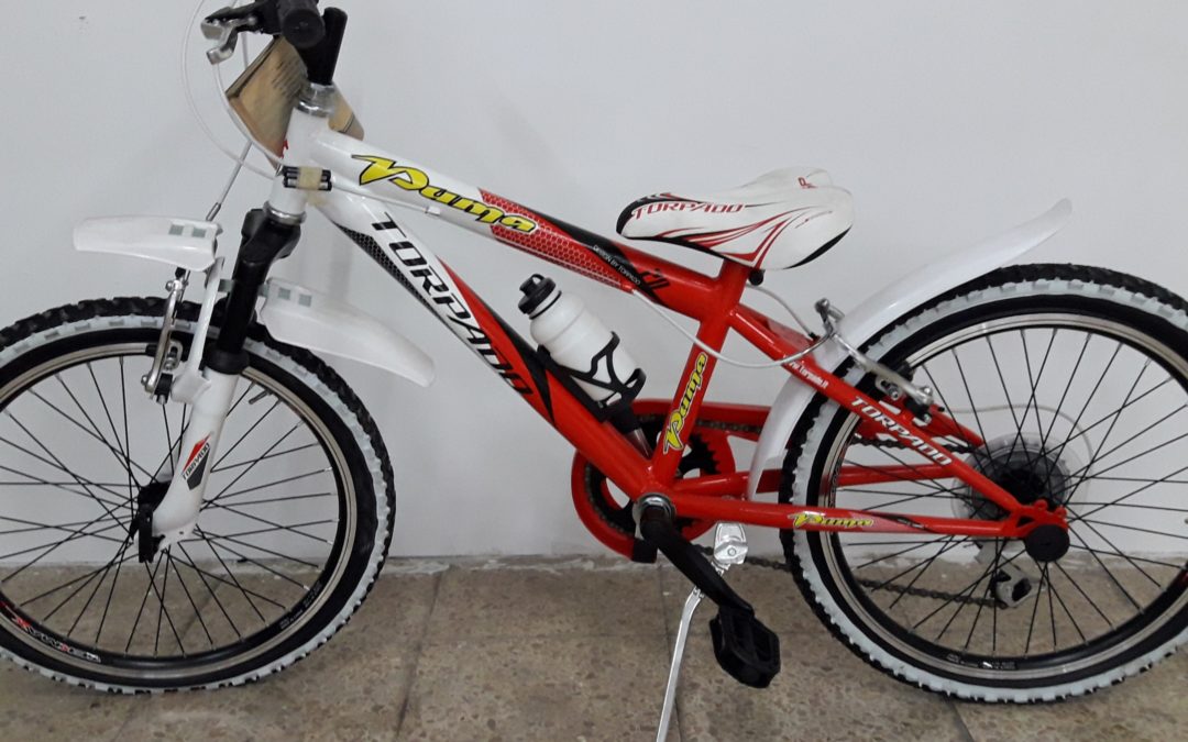 TORPADO PUMA